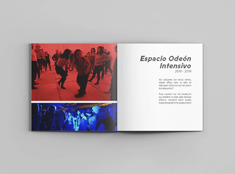 Imagen 1